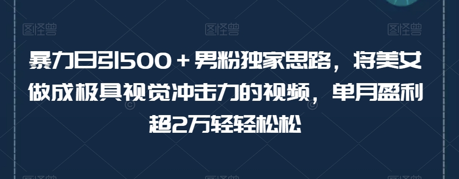 暴力日引500＋男粉独家思路，将美女做成极具视觉冲击力的视频，单月盈利超2万轻轻松松-1