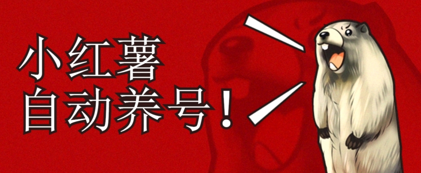 小红书养号秘籍，如何自动涨粉清晰系统标签打造高权重账号【揭秘】-创奇社 - AI前沿·副业变现·资源教程！