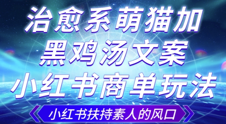 治愈系萌猫加+黑鸡汤文案，小红书商单玩法，3~10天涨到1000粉，一单200左右-1