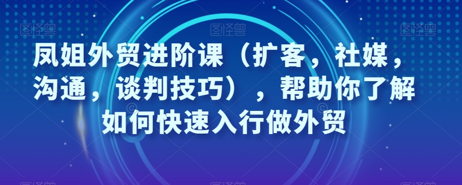 凤姐外贸进阶课（扩客，社媒，沟通，谈判技巧），帮助你了解如何快速入行做外贸-创奇社 - AI前沿·副业变现·资源教程！