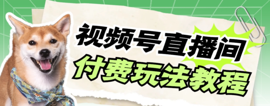 视频号美女付费无人直播，轻松日入500+【详细玩法教程】-创奇社 - AI前沿·副业变现·资源教程！