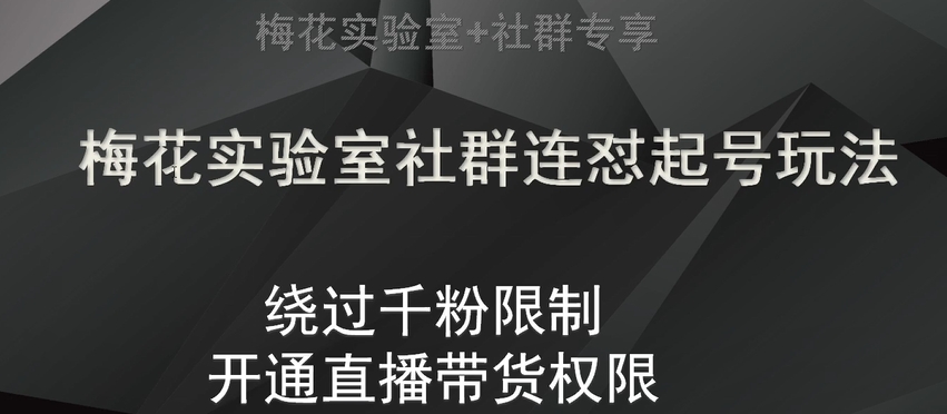 梅花实验室社群连怼起号玩法，视频号绕过千粉限制，开通直播带货权限【揭秘】-创奇社 - AI前沿·副业变现·资源教程！