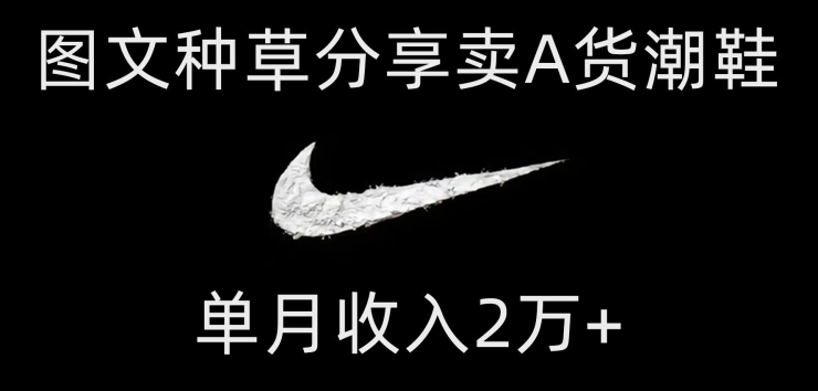 靠图文种草分享卖A货潮鞋，每天一小时，单月收入2万+【揭秘】-1