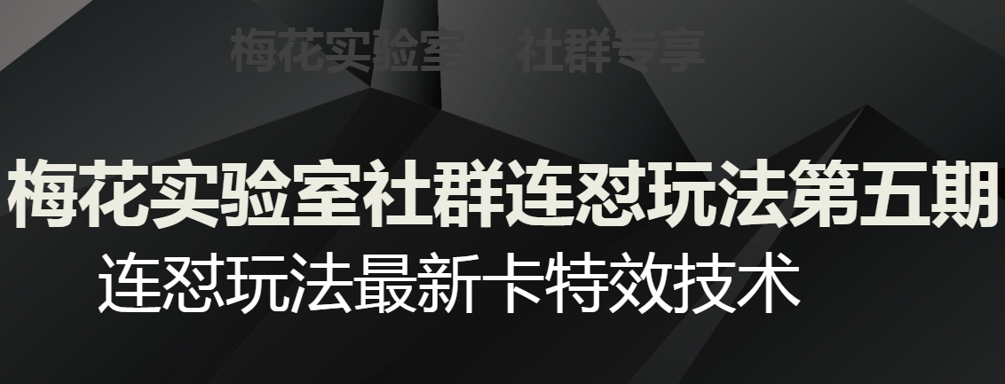 梅花实验室社群连怼玩法第五期，视频号连怼玩法最新卡特效技术-创奇社 - AI前沿·副业变现·资源教程！