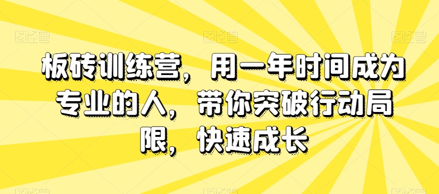 板砖训练营，用一年时间成为专业的人，带你突破行动局限，快速成长-1