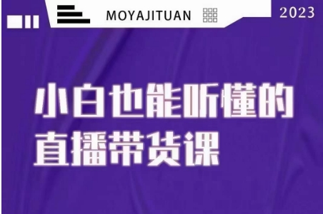 大威本威·能听懂的直播带货课，小白也能听懂，20节完整-创奇社 - AI前沿·副业变现·资源教程！