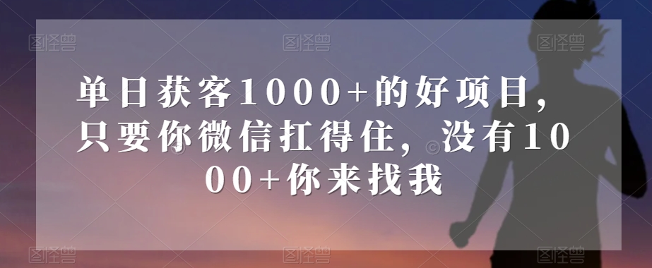 单日获客1000+的好项目，只要你微信扛得住，没有1000+你来找我【揭秘】-创奇社 - AI前沿·副业变现·资源教程！