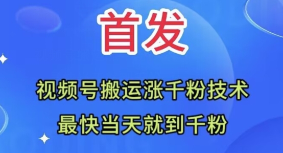全网首发：视频号无脑搬运涨千粉技术，最快当天到千粉【揭秘】-1