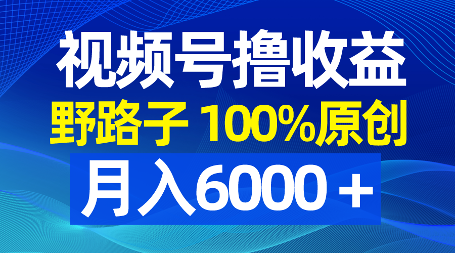 （8679期）视频号野路子撸收益，100%原创，条条爆款，月入6000＋-1