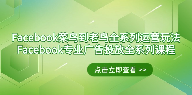 （9064期）Facebook-菜鸟到老鸟全系列运营玩法+Facebook-专业广告投放全系列课程-创奇社 - AI前沿·副业变现·资源教程！