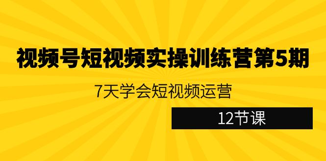（9029期）视频号短视频实操训练营第5期：7天学会短视频运营（12节课）-创奇社 - AI前沿·副业变现·资源教程！