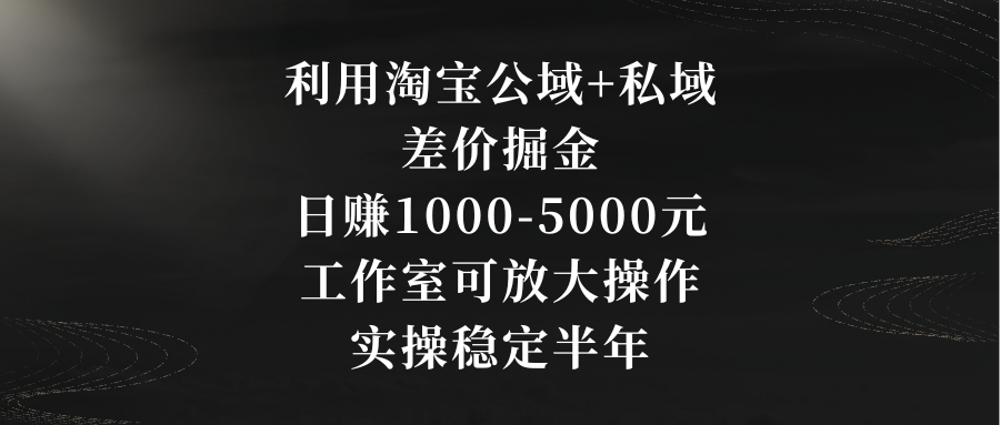 （8952期）利用淘宝公域+私域差价掘金，日赚1000-5000元，工作室可放大操作，实操…-创奇社 - AI前沿·副业变现·资源教程！
