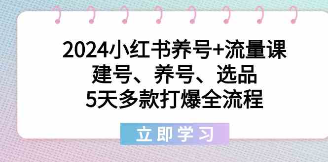 2024小红书养号+流量课：建号、养号、选品，5天多款打爆全流程-创奇社 - AI前沿·副业变现·资源教程！