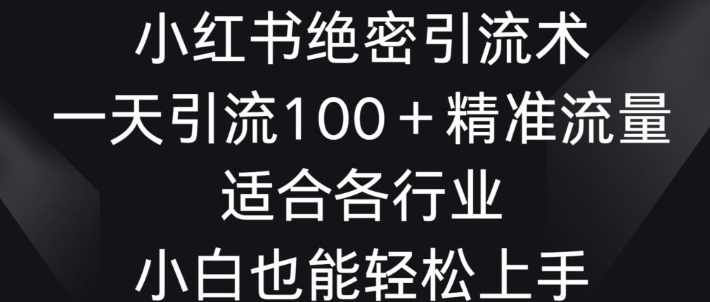 小红书绝密引流术，一天引流100+精准流量，适合各个行业，小白也能轻松上手-创奇社 - AI前沿·副业变现·资源教程！
