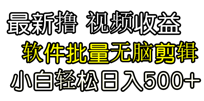 （9569期）发视频撸收益，软件无脑批量剪辑，第一天发第二天就有钱-创奇社