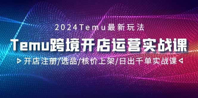（9208期）2024Temu跨境开店运营实战课，开店注册/选品/核价上架/日出千单实战课-创奇社