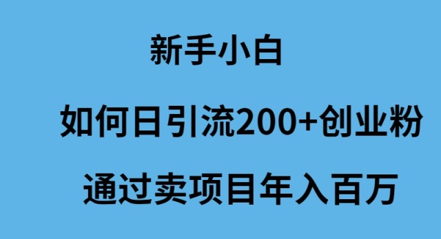 （9668期）新手小白如何日引流200+创业粉通过卖项目年入百万-创奇社