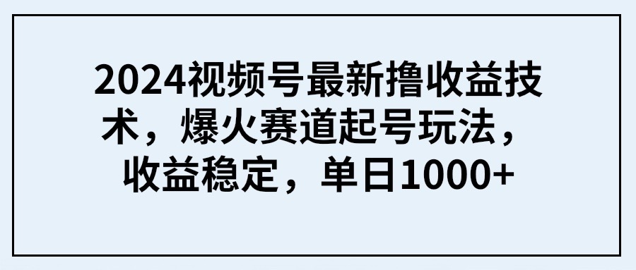（9651期） 2024视频号最新撸收益技术，爆火赛道起号玩法，收益稳定，单日1000+-1