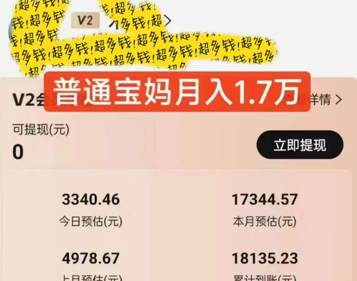 （9652期）2024风口项目，轻松日入2000+矩阵操作，详细教程-2