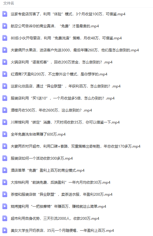 （9607期）真实有效391套商业模式，年入几十到几百万案例解析（电子书+视频+图文）-8
