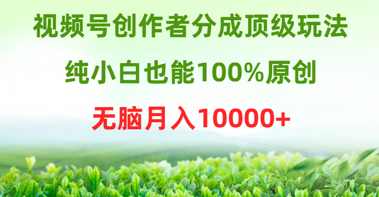 （9608期）视频号创作者分成顶级玩法，纯小白也能100%原创，无脑月入10000+-创奇社