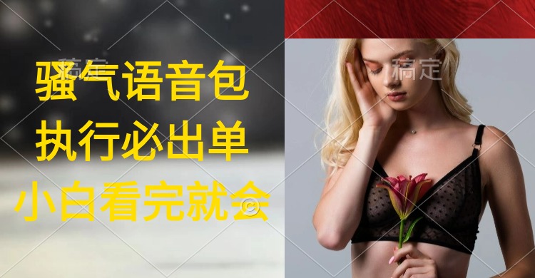 （9589期）执行就出单，日入2000+，超火骚气语音包，小白看完课程就能马上实操-创奇社