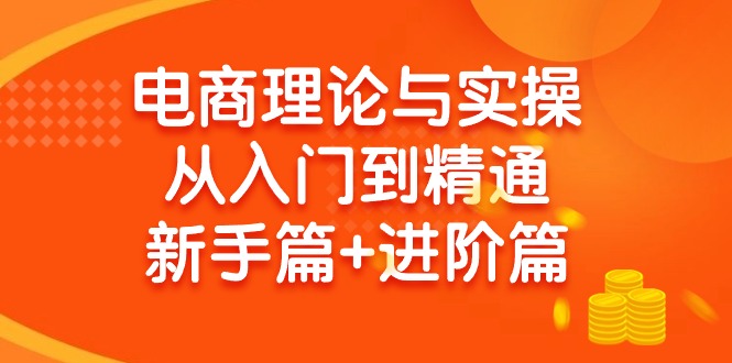 （9576期）电商理论与实操从入门到精通 新手篇+进阶篇-创奇社