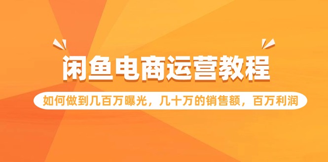 （9560期）闲鱼电商运营教程：如何做到几百万曝光，几十万的销售额，百万利润-创奇社
