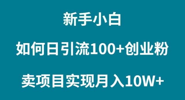 （9556期）新手小白如何通过卖项目实现月入10W+-创奇社