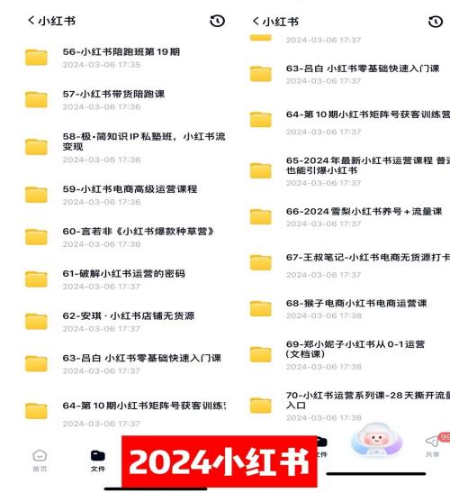 （9505期）0基础知识付费玩法 小白也能日入500+ 实操教程-4