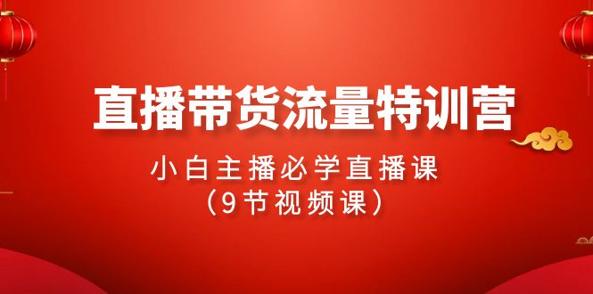 （9592期）2024直播带货流量特训营，小白主播必学直播课（9节视频课）-创奇社