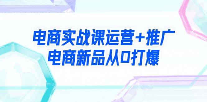 （9313期）电商实战课运营+推广，电商新品从0打爆（99节视频课）-创奇社