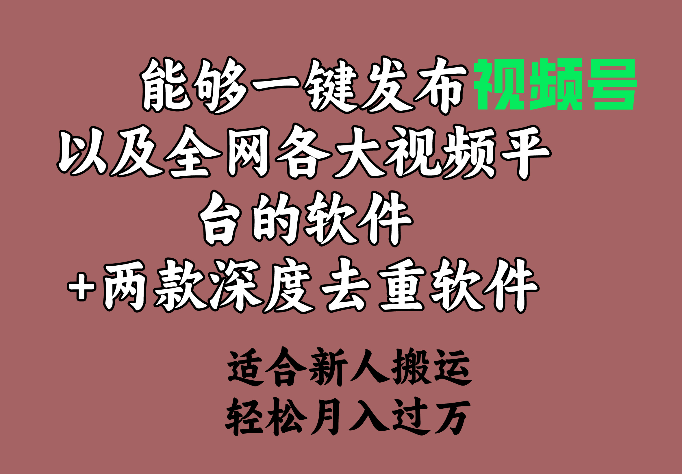 （9319期）能够一键发布视频号以及全网各大视频平台的软件+两款深度去重软件 适合…-1