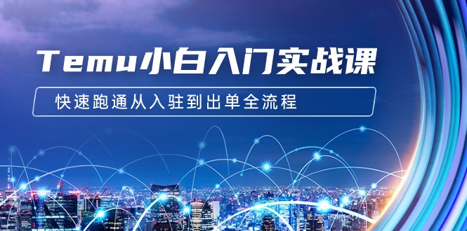 （9295期）Temu小白入门实战课：跨境拼多多电商培训 快速跑通从入驻到出单全流程-12节-创奇社