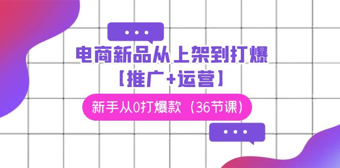 （9286期）电商 新品从上架到打爆【推广+运营】，新手从0打爆款（36节课）-创奇社