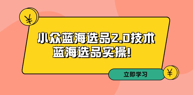（9189期）拼多多培训第33期：小众蓝海选品2.0技术-蓝海选品实操！-创奇社