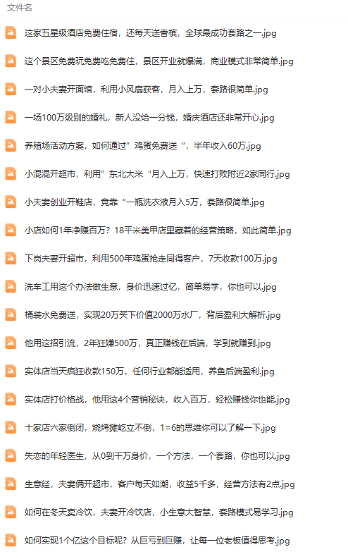 （9607期）真实有效391套商业模式，年入几十到几百万案例解析（电子书+视频+图文）-1
