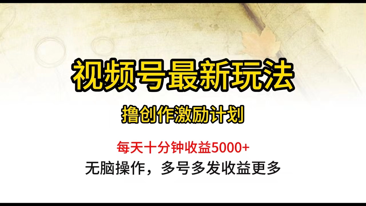 （10087期）视频号最新玩法，每日一小时月入5000+-创奇社