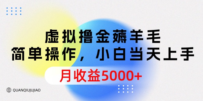 （9864期）虚拟撸金薅羊毛，简单操作，小白当天上手，月收益5000+-创奇社
