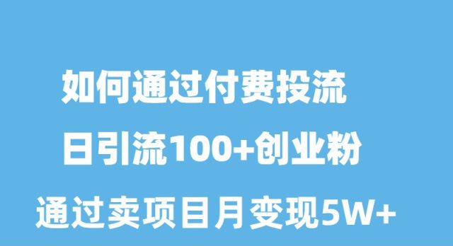 （10189期）如何通过付费投流日引流100+创业粉月变现5W+-创奇社