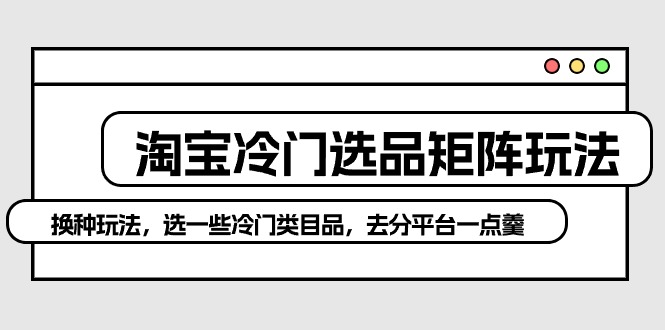 （10159期）淘宝冷门选品矩阵玩法：换种玩法，选一些冷门类目品，去分平台一点羹-创奇社
