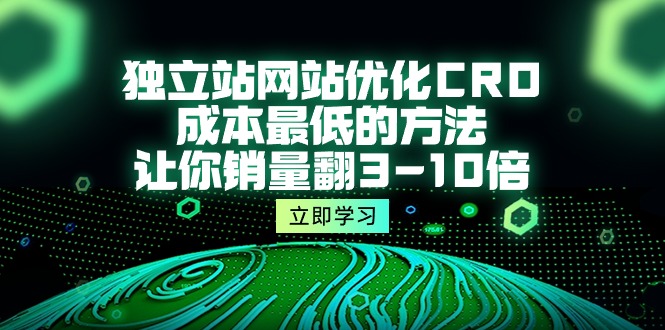 （10173期）独立站网站优化CRO，成本最低的方法，让你销量翻3-10倍（5节课）-创奇社