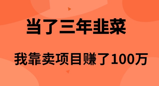 （10149期）当了3年韭菜，我靠卖项目赚了100万-创奇社 - AI前沿·副业变现·资源教程！