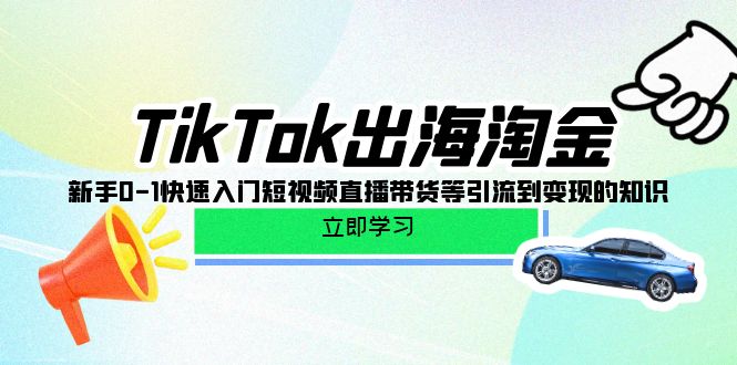 （10035期）TikTok-出海淘金，新手0-1快速入门短视频直播带货等引流到变现的知识-创奇社