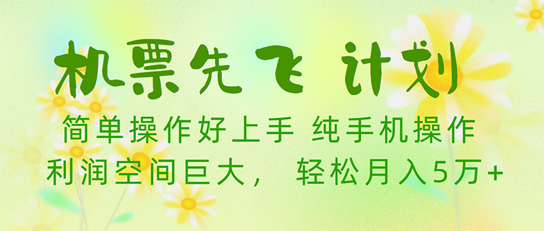 （10038期）机票先飞计划！里程积分兑换机票售卖赚差价，利润空间巨大，小白月入5万+-创奇社