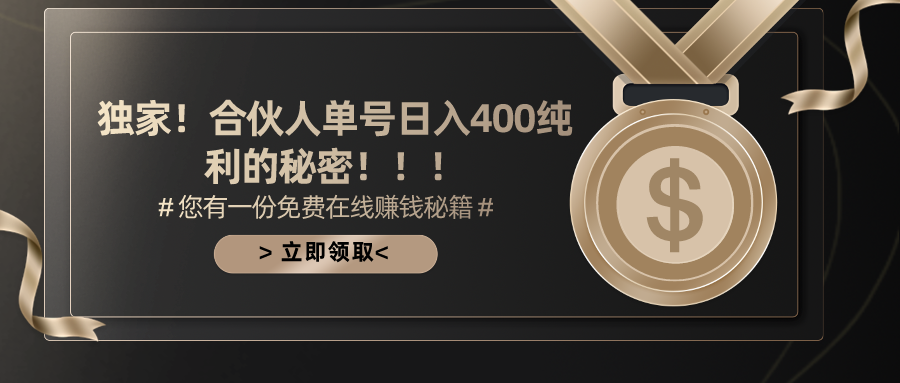（10028期）合伙人广告撸金最新玩法，每天单号400纯利-创奇社