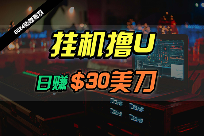 （10013期）日赚30美刀，2024最新海外挂机撸U内部项目，全程无人值守，可批量放大-创奇社