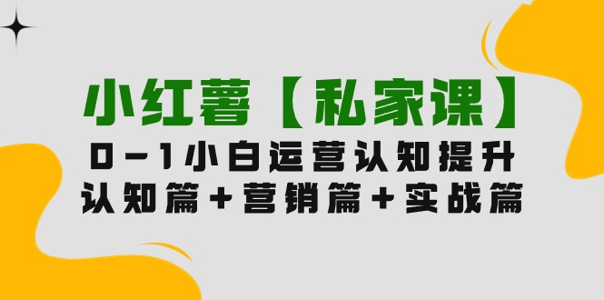 （9910期）小红薯【私家课】0-1玩赚小红书内容营销，认知篇+营销篇+实战篇（11节课）-创奇社