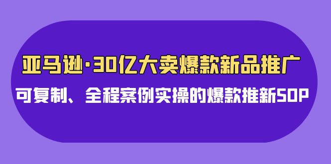 （9944期）亚马逊30亿·大卖爆款新品推广，可复制、全程案例实操的爆款推新SOP-创奇社