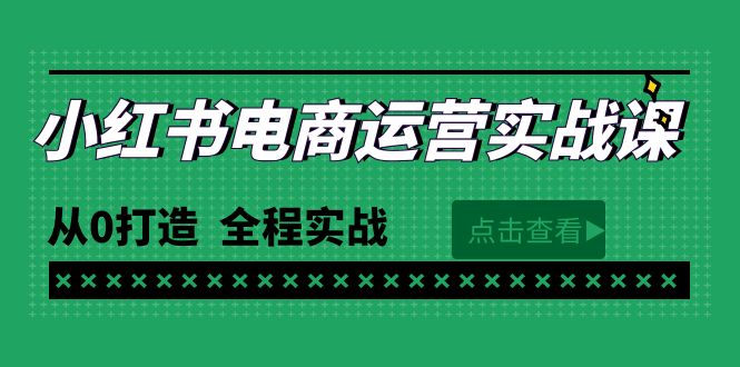 （9946期）最新小红书·电商运营实战课，从0打造  全程实战（65节视频课）-创奇社